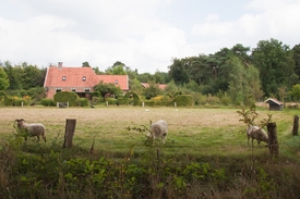  Korte seniorenwandeling op scholtegoed Gossink