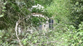 Een bijzonder gebouwtje in de bossen van Joppe