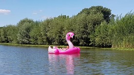 Het wordt dinsdag 38 graden in de Achterhoek