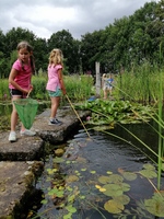 Waterbeestjes vangen  in de Kruidenhof in Eibergen