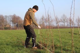 Inwoners bedenken ideeën voor Levend Landschap Rietmolen