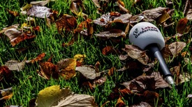 Vijf tips voor in je herfstvakantie